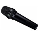 Lewitt MTP 250 DM, Dynamisches Mikrofon
