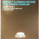 Mister T & Demon Ritchie feat. Prince Charles - Just...