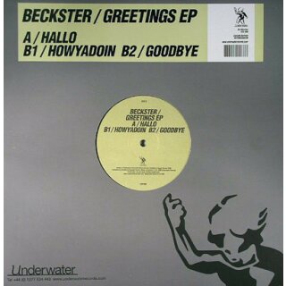 Beckster - Greetings EP Vinyl
