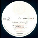 Alex Kenji - Destroy Elevation Vinyl